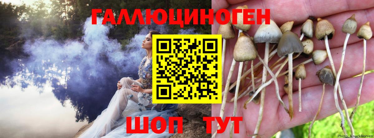 Галлюциногенные грибы Cubensis Златоуст