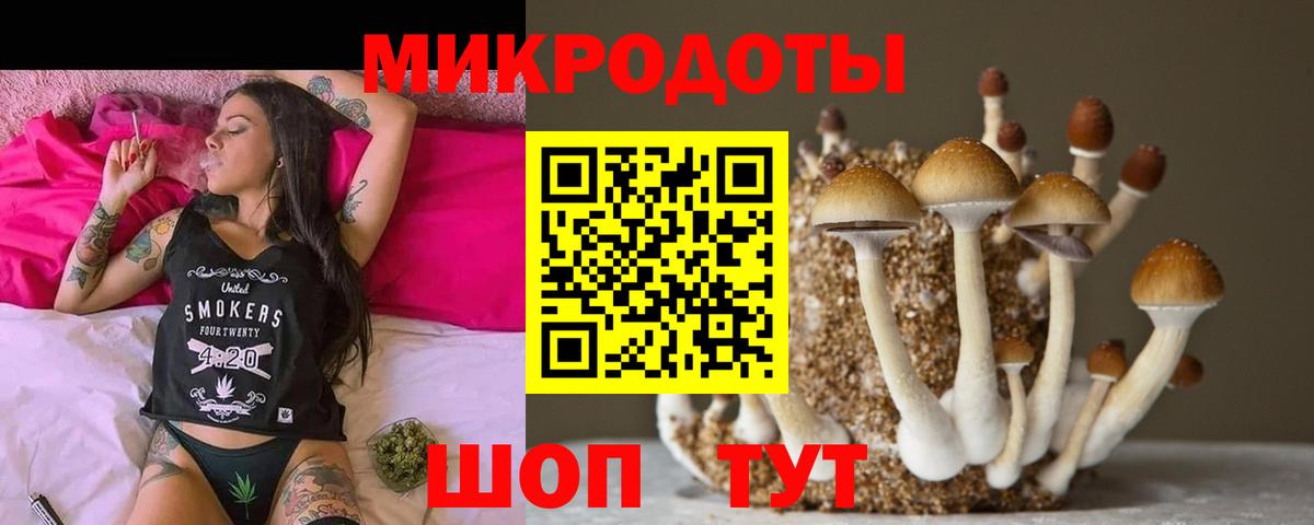 Псилоцибиновые грибы MAGIC MUSHROOMS  Вход с VPN  Златоуст 